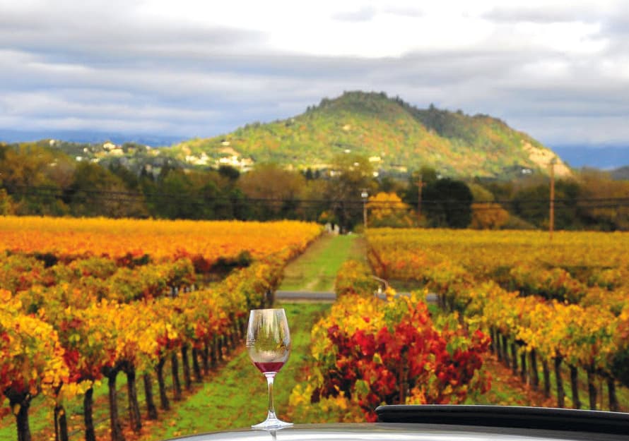 LimoSterling's tweet photo. Napa Valley's Crush Season is underway! Lasting through October, this time of year is Napa's most vibrant - when the season's grapes reach their peak ripeness, are picked and then crushed for the 2022 vintage.
https://t.co/OcO4xrkQyD https://t.co/yh1HfVYTys