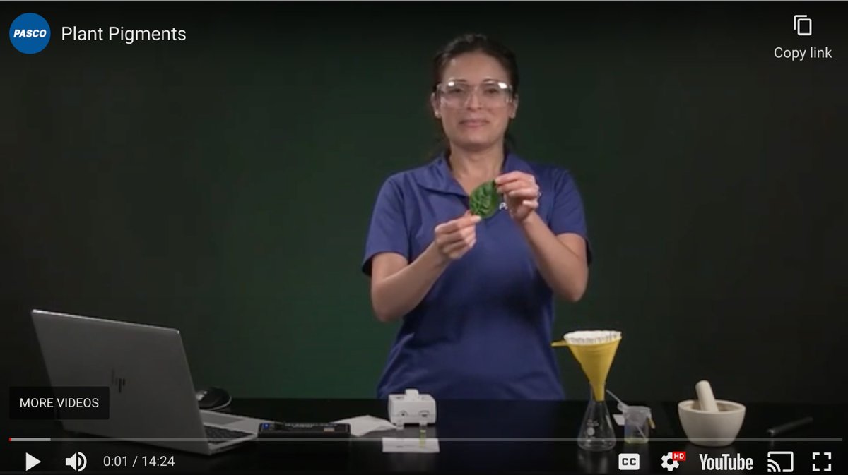 pascoscientific's tweet photo. Why do leaves change color in the fall? Celebrate the #AutumnEquinox by investigating the role of plant pigments and chloroplasts! Get the docs for free👉https://t.co/W3DzoKfECS #STEM #science #biology https://t.co/bPSwZWHmTB