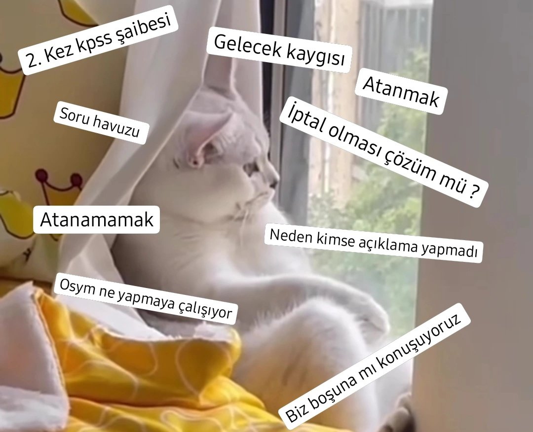 thecansss's tweet photo. Anlık mood
#kpss2022iptaledilsin https://t.co/JyATTrQpbY
