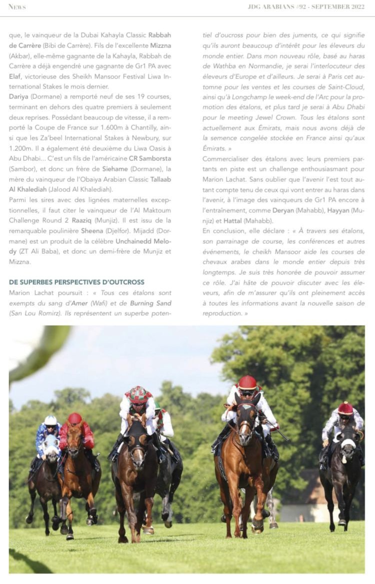 WathbaStallions's tweet photo. Exciting news for Wathba Stallions: promising young sires available with frozen semen for the 2023 breeding season.
All details about the stallion roster to be announced soon.
#WathbaStallions #JDGArabians #ArabianStallions #ArabianRacing #ArabianBreeding #SuccessfulSires #JDG https://t.co/fyyNaFBDOj