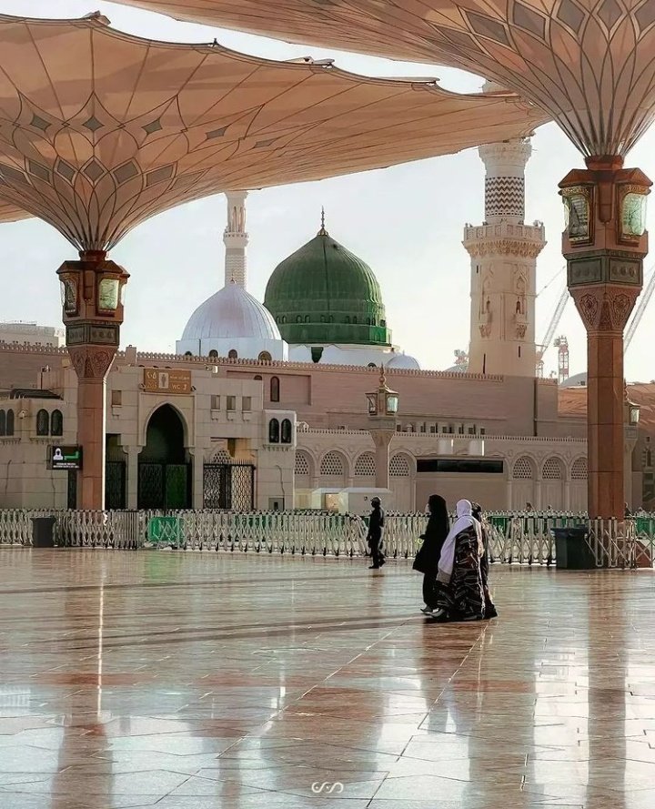 __0_12's tweet photo. •✾*﷽*•✾
  وَرَفَعْنَا لَكَ ذِكْرَكَ ۝  (ﷺ) https://t.co/0JwHjKYsFj