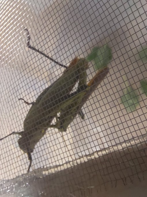 1 pic. Thanks to all my fans for helping my dreams start to come true, I have most of the equipment I