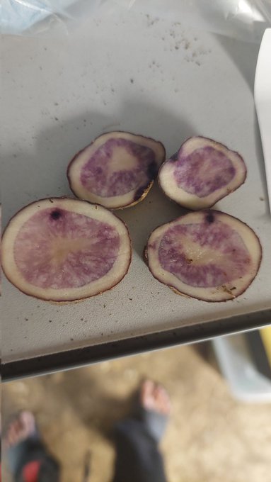 2 pic. Thanks to all my fans for helping my dreams start to come true, I have most of the equipment I