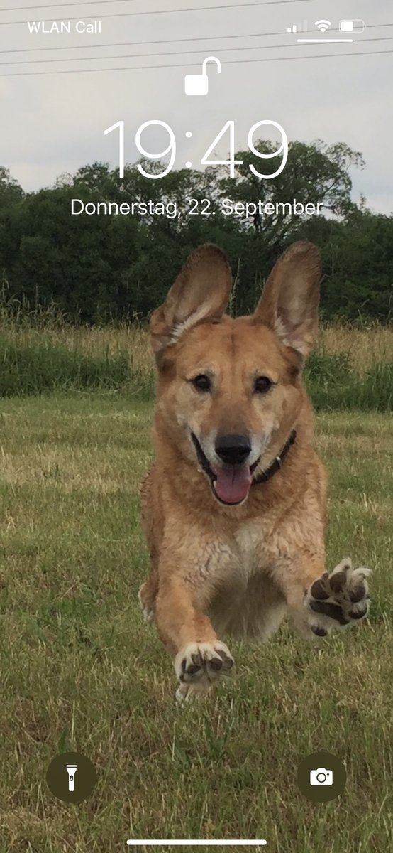 desKindesMutter's tweet photo. @JConstantine80 Anders schön. 🐕 https://t.co/IrcNqyFQnf
