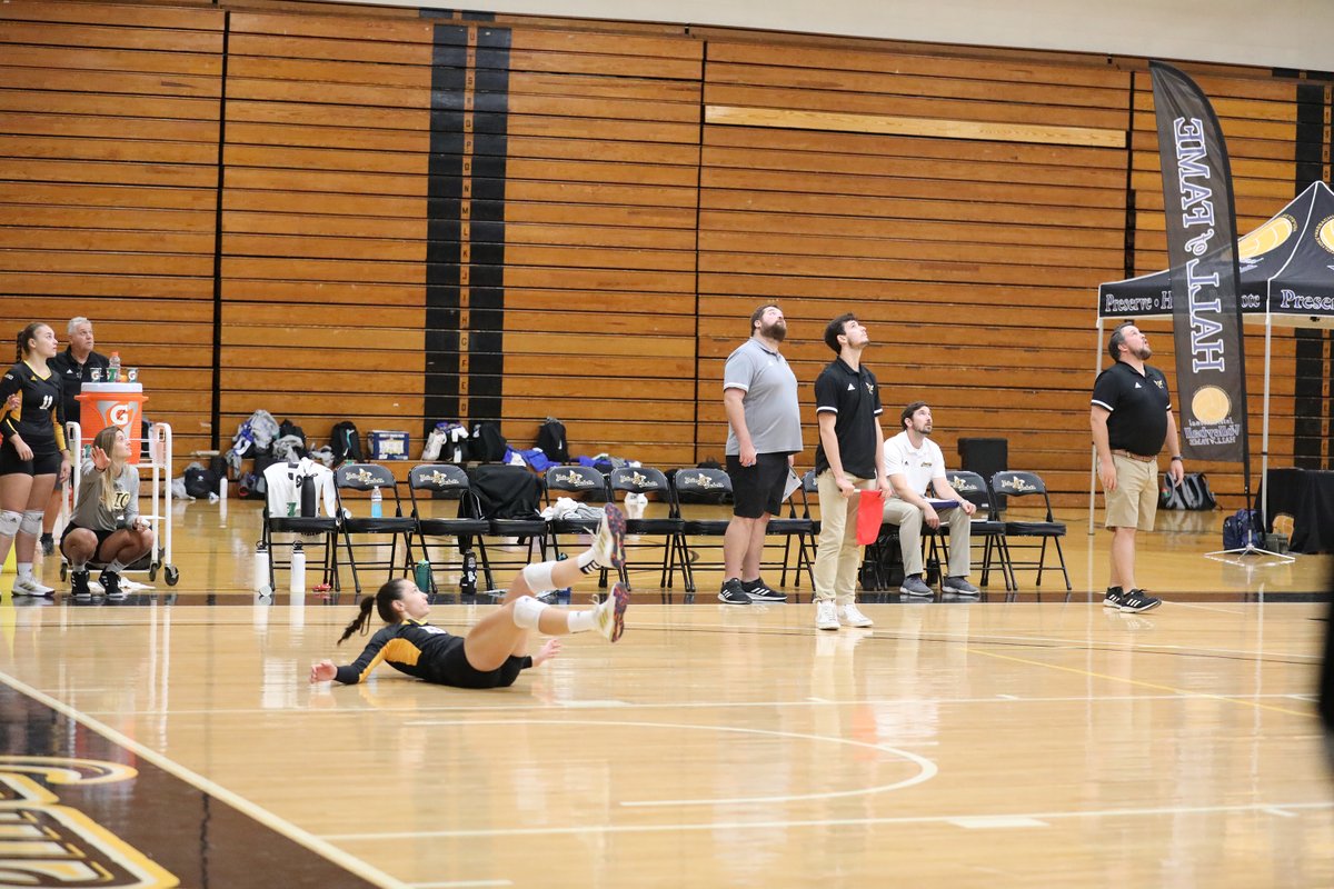 AIC Volleyball tweet media
