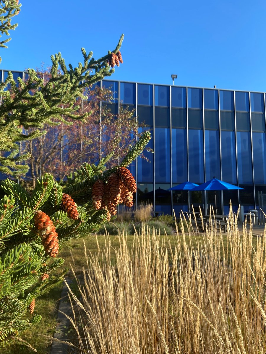 Happy First Day of Fall from the team at Vyriad!

#VyriadMN #FallinMN #RochesterMN #cancerresearch