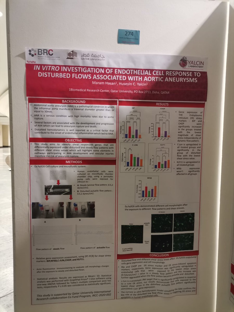 DrYalcinLab's tweet photo. We are all set up for @QatarUniversity 's Annual Research Forum at H10 Complex of @QUResearch. We are looking forward to see you and discuss our recent science!
 @QU_BRC 
#QUARF22 https://t.co/9MR5inFCmc