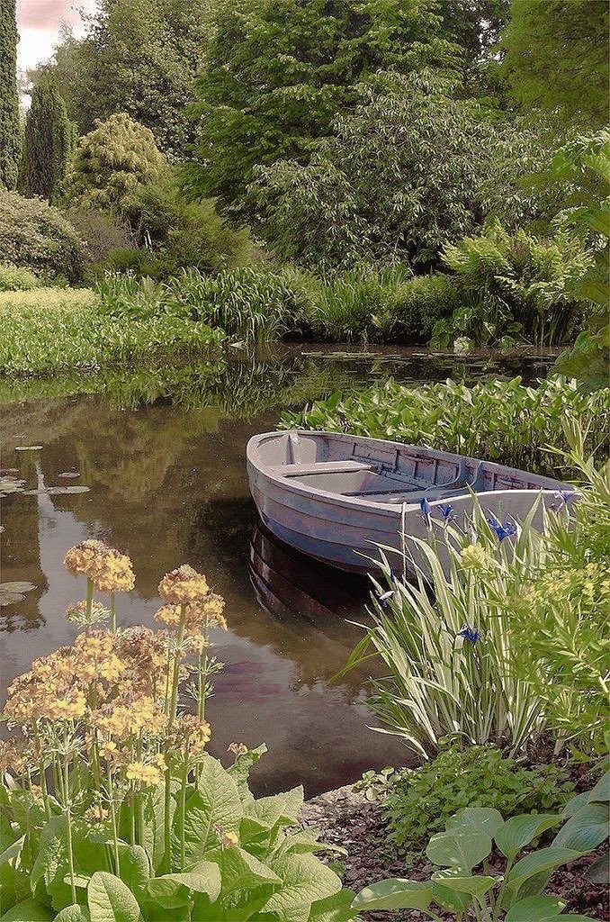 [ starter for @Jonathanlevy35 ]

phoebe was taking her puppy out for a walk in a nearby park. it was her first walk her dog luna was very excited and eager to run around everywhere.