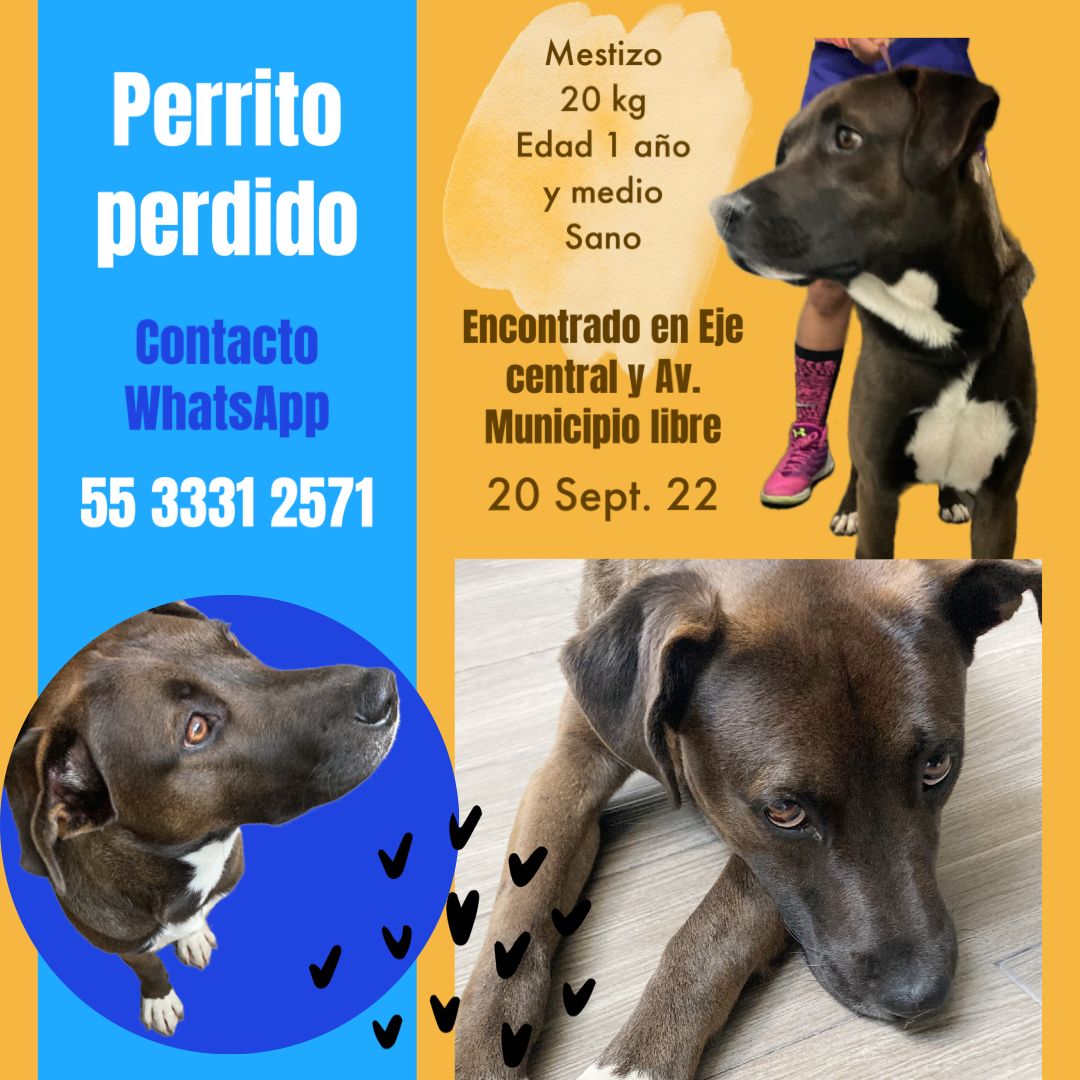 lezama_vio's tweet photo. Ayuda amigos https://t.co/xSmvKiUtko