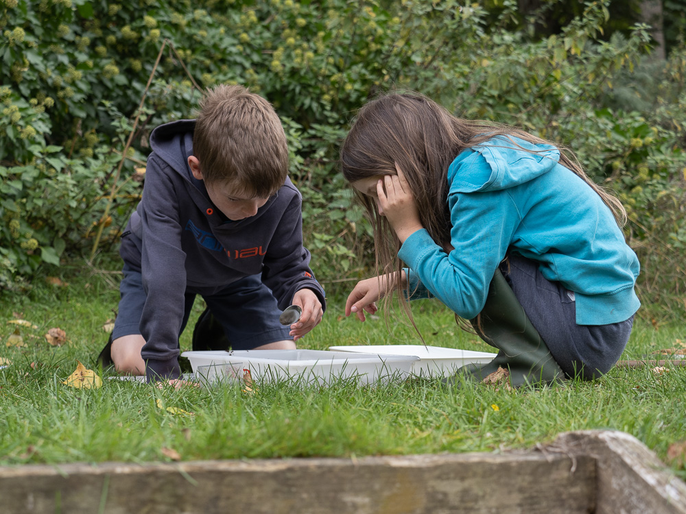 DawsHallNature's tweet photo. In our Home Ed session today we looked at Rivers.  
We measured the water quality with meters and caught freshwater creatures.
We used the findings to see which was cleaner, with the brook being much cleaner!
We also had a bonus fly over from a Hobby! https://t.co/1EBnVWPXAZ