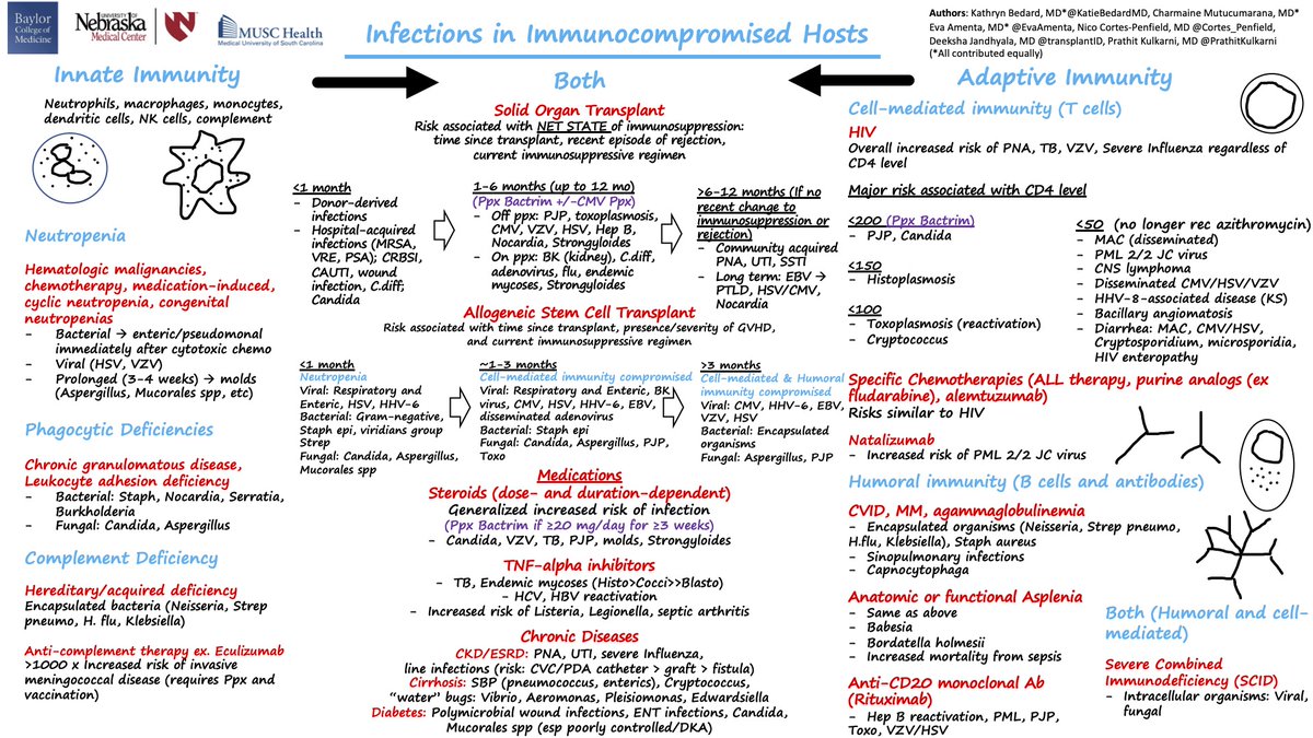 Since it's now been a couple of months into this new academic year, officially re-releasing our ‼️ Infections in Immunocompromised Hosts Schema ‼️ 👇👇👇 Developed by @EvaAmenta @KatieBedardMD @transplantID @Cortes_Penfield cc: @Sthanu5 @AaronGoodman33 @SatyaPatelMD