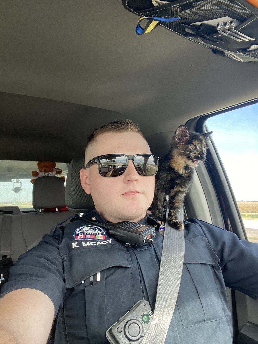 NEStatePatrol's tweet photo. Paws what you’re doing and look at this right meow.

Trooper McAcy found this kitten in the ditch today. During a purrfect ridealong, they agreed on the name Winslow, after the closest town. She’s now at FurEver Home in Fremont to get vet care, then she’ll be up for adoption. https://t.co/bg1Ceyv7k0