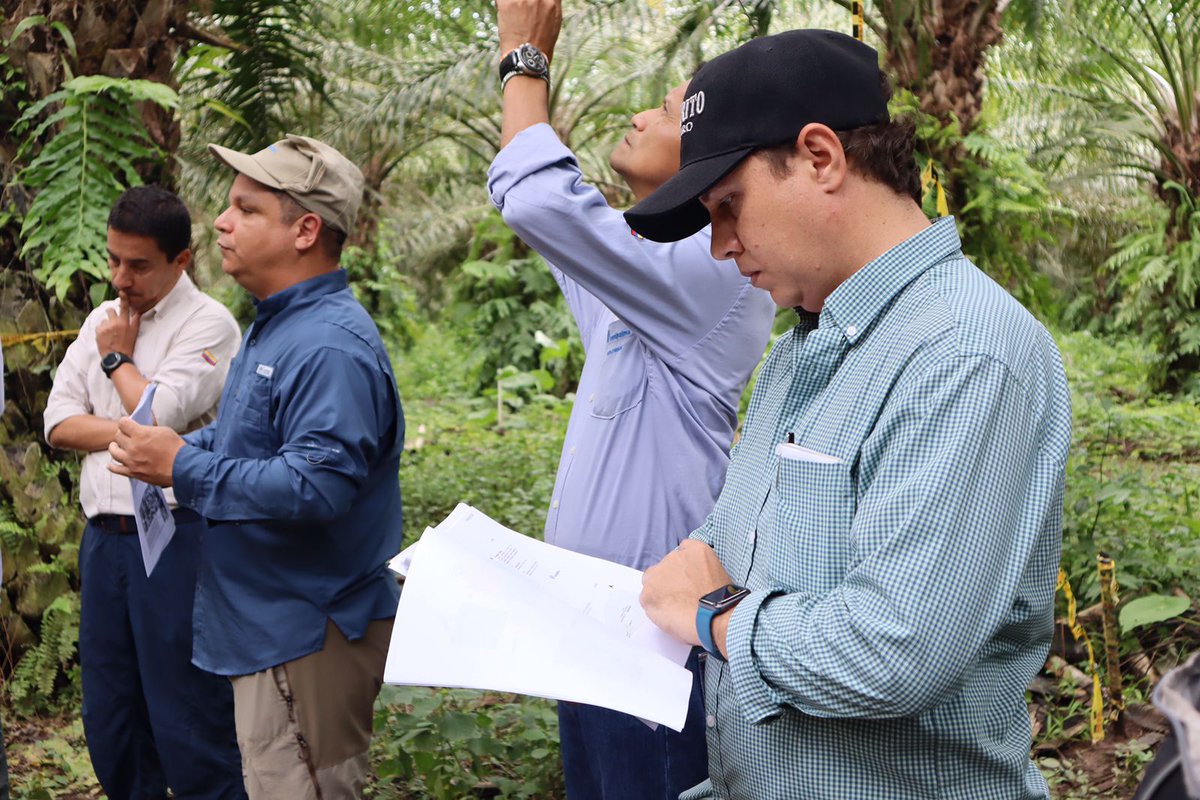 CenipalmaOrg's tweet photo. @irtacat @SMART_Sinarmas Este recorrido se realiza con el Consejo Técnico Consultivo del proyecto Desarrollo de un sistema integrado de manejo agronómico para el cultivo de palma de aceite como respuesta a efectos de la variabilidad climática en el #Cesar, con el Sistema General de Regalías @GobdelCesar https://t.co/JObfT1FA9b