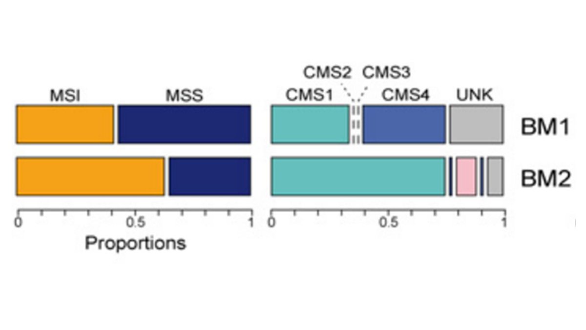 The biology of BRAF mCRC tumors are not uniform Study of RNA profiles has separated it into 2 groups 1. BRAF Mutation 1 (BM1): ⬆️ MAPK signature,⬆️ PI3K/mTOR pathway signature 2. BRAF Mutation 2 ( BM2) - ⬆️ cell cycle signature BM2 also has⬆️ MSI-H pts #CRCTrialsChat