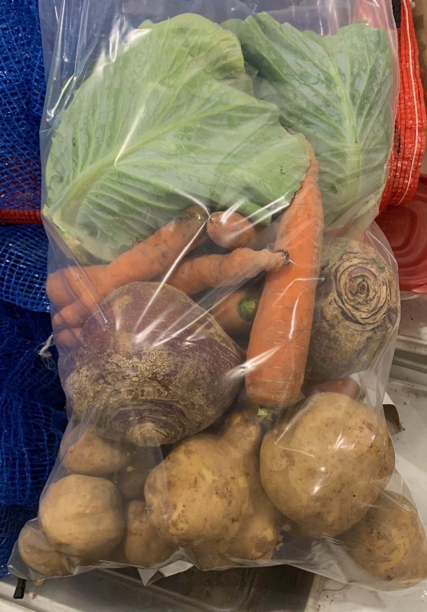 1stPCScouts's tweet photo. To help with the cost of Fall camps, our Beavers &amp; Cubs  are selling vegetable hampers from a former Scout from our Group! The ~12Lb hampers have cabbage, carrot, turnip and potato &amp; are $16 each. Send us a DM for more info or to order or see one of our Scouts! https://t.co/gc1R8lHpgq