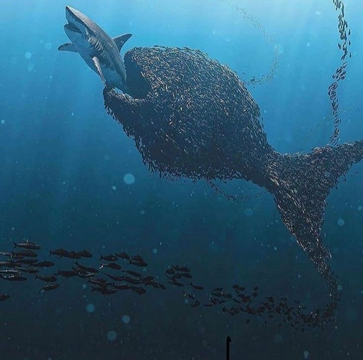 #مهسا_امینی  
#Mahsa_Amini 
#نه_به_جمهوی_اسلامی