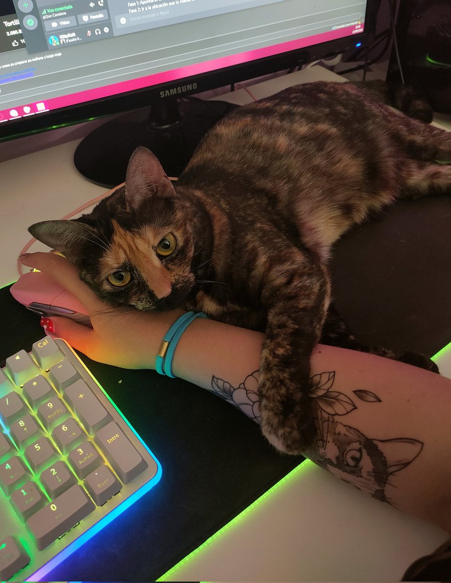 KittyKatt🌼 tweet media