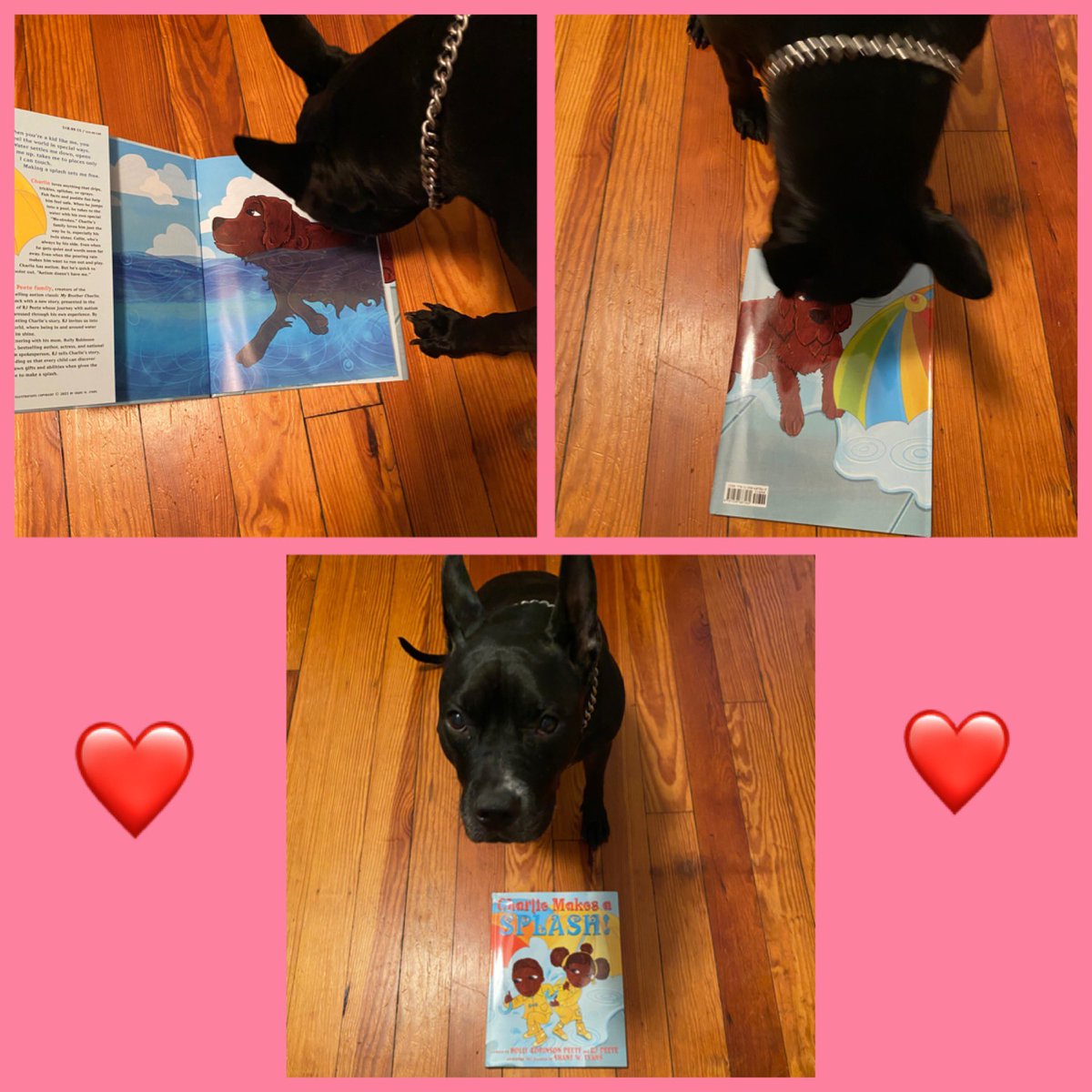 cinco_jackson's tweet photo. @hollyrpeete ITS HERE!! My little sister Diva is already loving the book ( as you can see😉) WE LOVE IT! Always sending love and support. 📖❤️👸🏽🐶🐕‍🦺👮🏻#supportingaustim #therapydog https://t.co/RExPAQLWfw