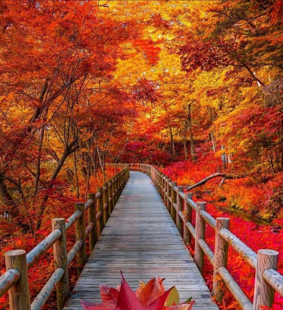 Designing Fear tweet media