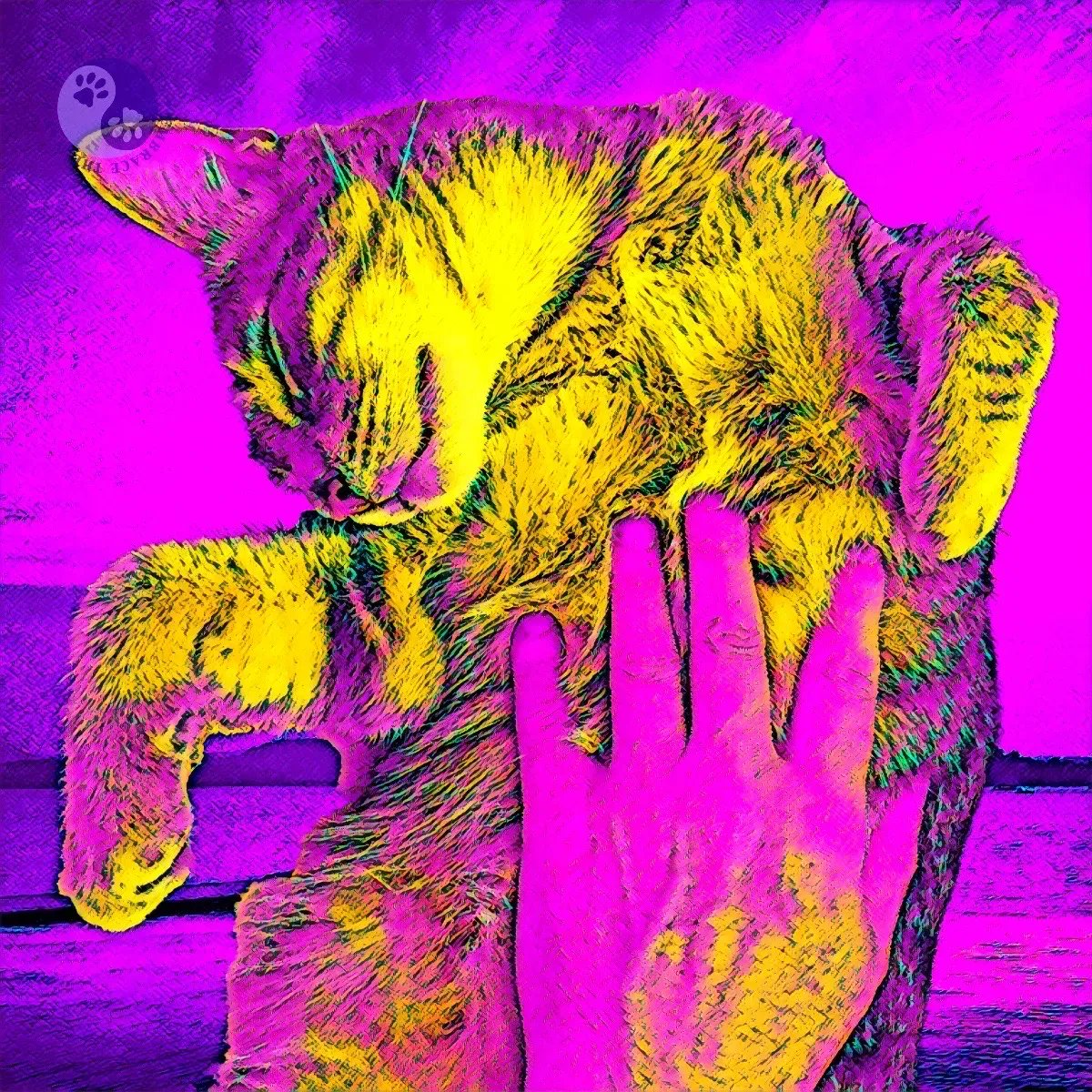 WayofCats's tweet photo. Bud Abbott made such an impression with his series, Jackrabbit Slim, that he landed the coveted lead role in the film, Nightmare in Pink.
It broke the Travis McGee curse.
#CatsOfTwitter #CatsofImagination #RescueCat #BudBudtheSpud https://t.co/sq7yQzK64E