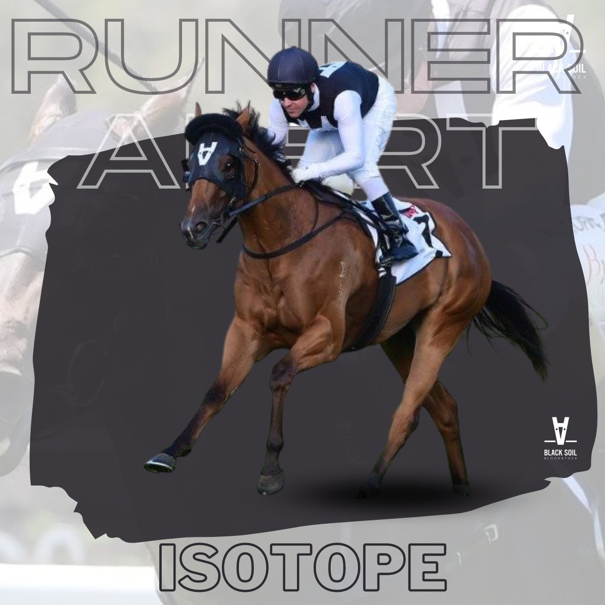 Black_Soil_Bsk's tweet photo. 🚨 RUNNER ALERT

🏇 ISOTOPE
➡️ @tonygollan
➡️ Moonee Valley, Race 7, Group 1 Moir Stakes, 1000m, 9:15pm.
➡️ Jye McNeill (56.5kg), Barrier 4.

For a pre-race update in her blog, visit https://t.co/Nw1hMrghnK https://t.co/ooloaox594