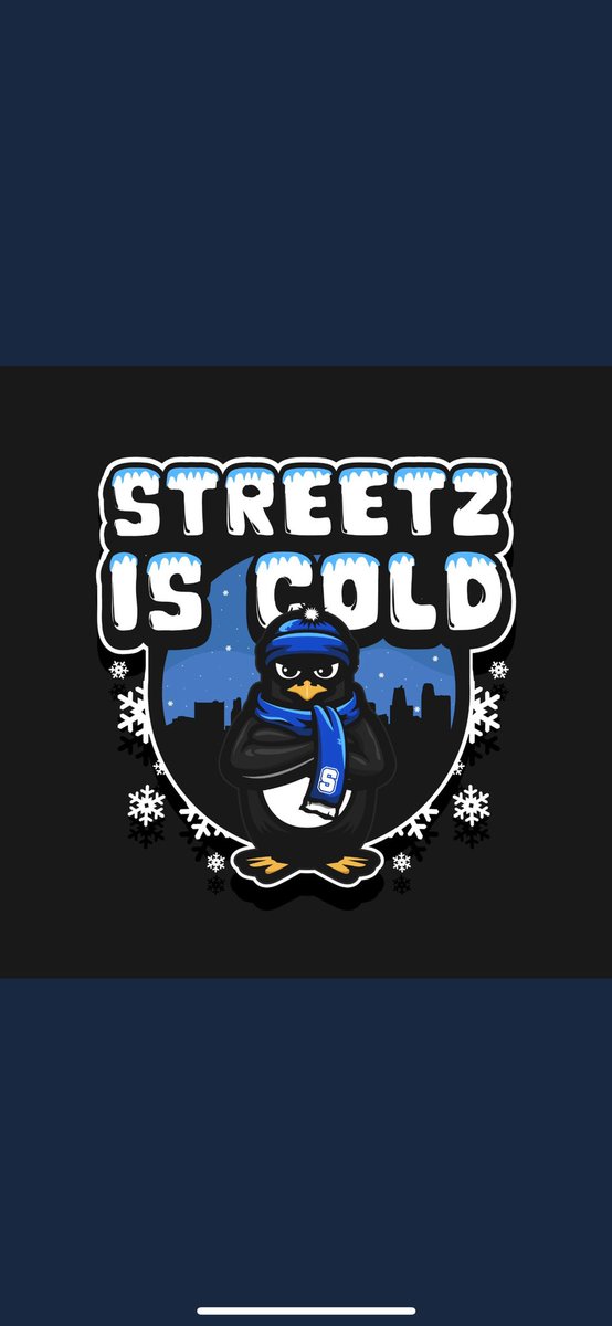 HoveBrooklyn's tweet photo. Shoutout to @ItsAlphaGFX  for the Super Logo for! @StreetzGaming  🥶❄️  @WRproamleague Winter is Here 
@YungCeezz13 @JoveyUchiha @TPjustoo @KhaleilDavis @xKaijaunx  @MPBA2K https://t.co/0LRiXcf4QH
