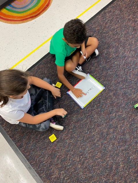 Joanna Petr tweet media