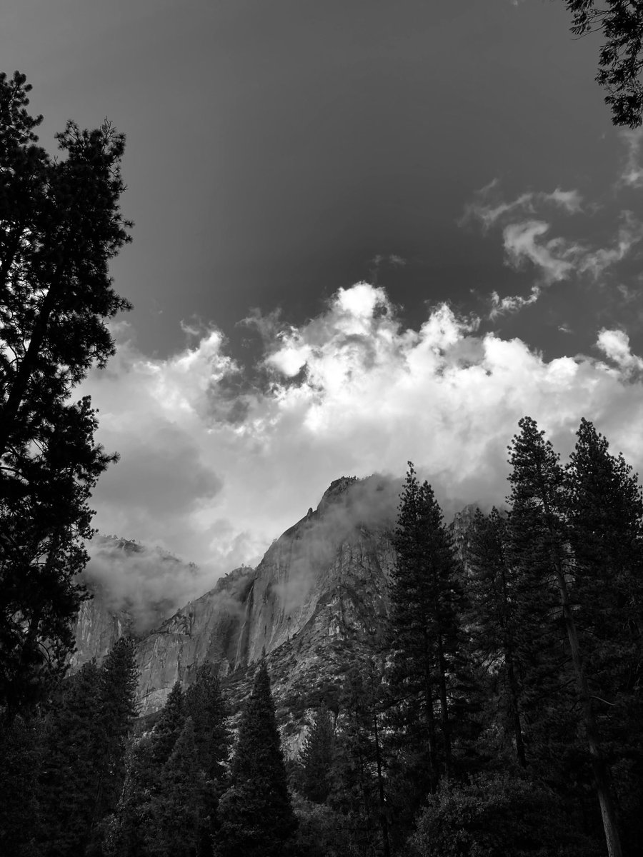 We have just spent two glorious (albeit wet in part) days in Yosemite National Park - and it turned us into budding Ansel Adams! #Yosemite