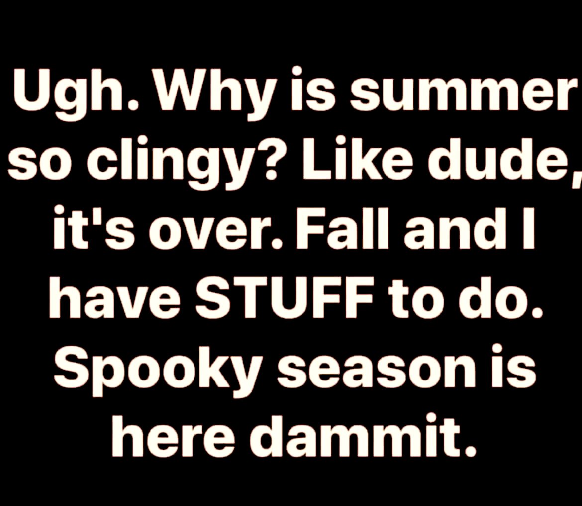 Veronica Linthicum tweet media