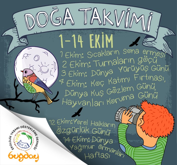 Turnalar göçüyor, sıcaklar sona eriyor... 🐦

#BuğdayDerneği #DoğaTakvimi #Ekim