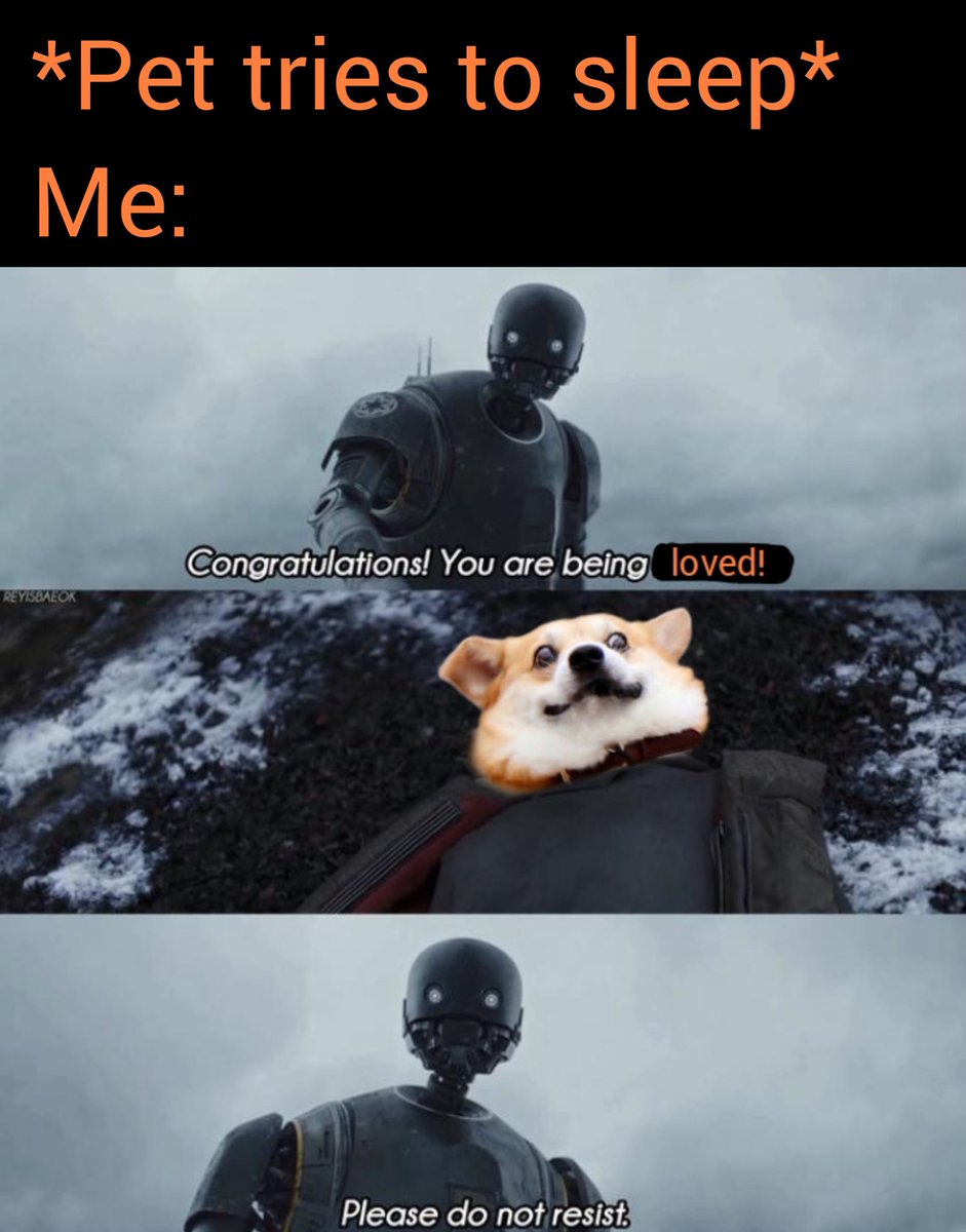 Gridan_'s tweet image. 