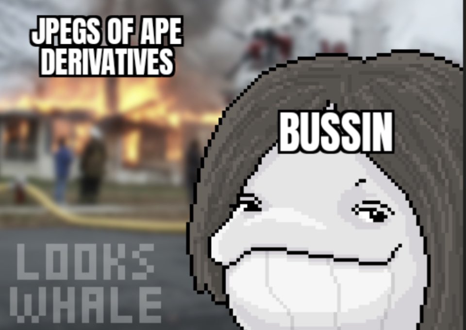 Why I love <a href="/LooksWhale/">Looks Whale</a> 😅