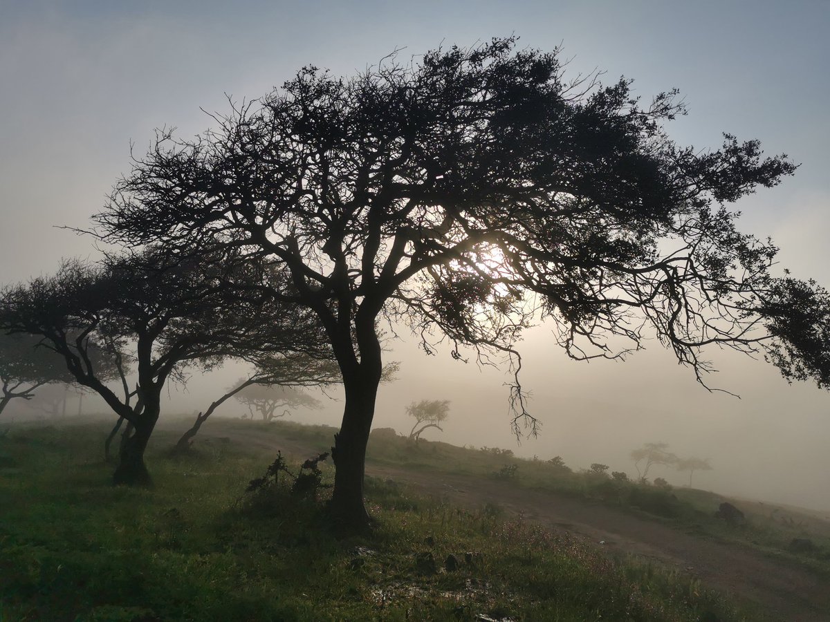 الجوكر /JOKER (@joker16696519) on Twitter photo 