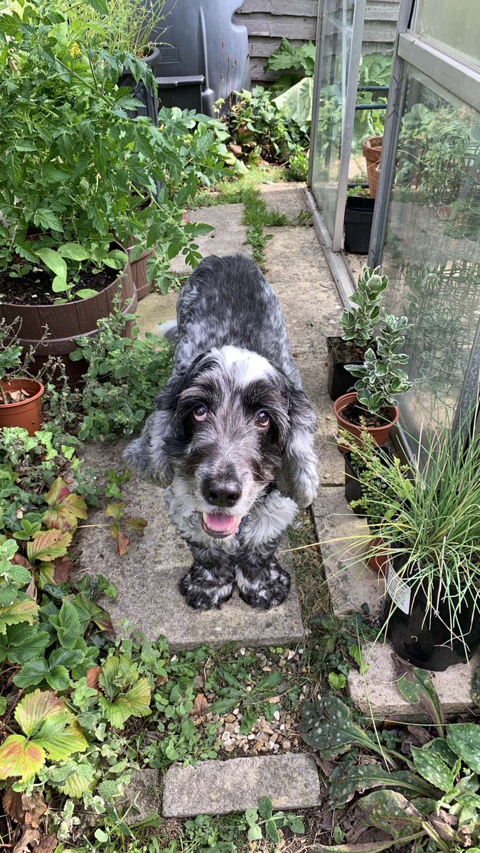 Until we meet again little man 💙