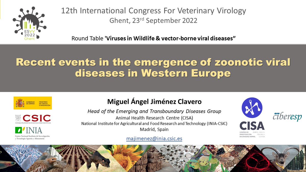 Virusemergentes's tweet photo. A preview of tomorrow's talk #ESVV2022 https://t.co/7lHDk0F50s