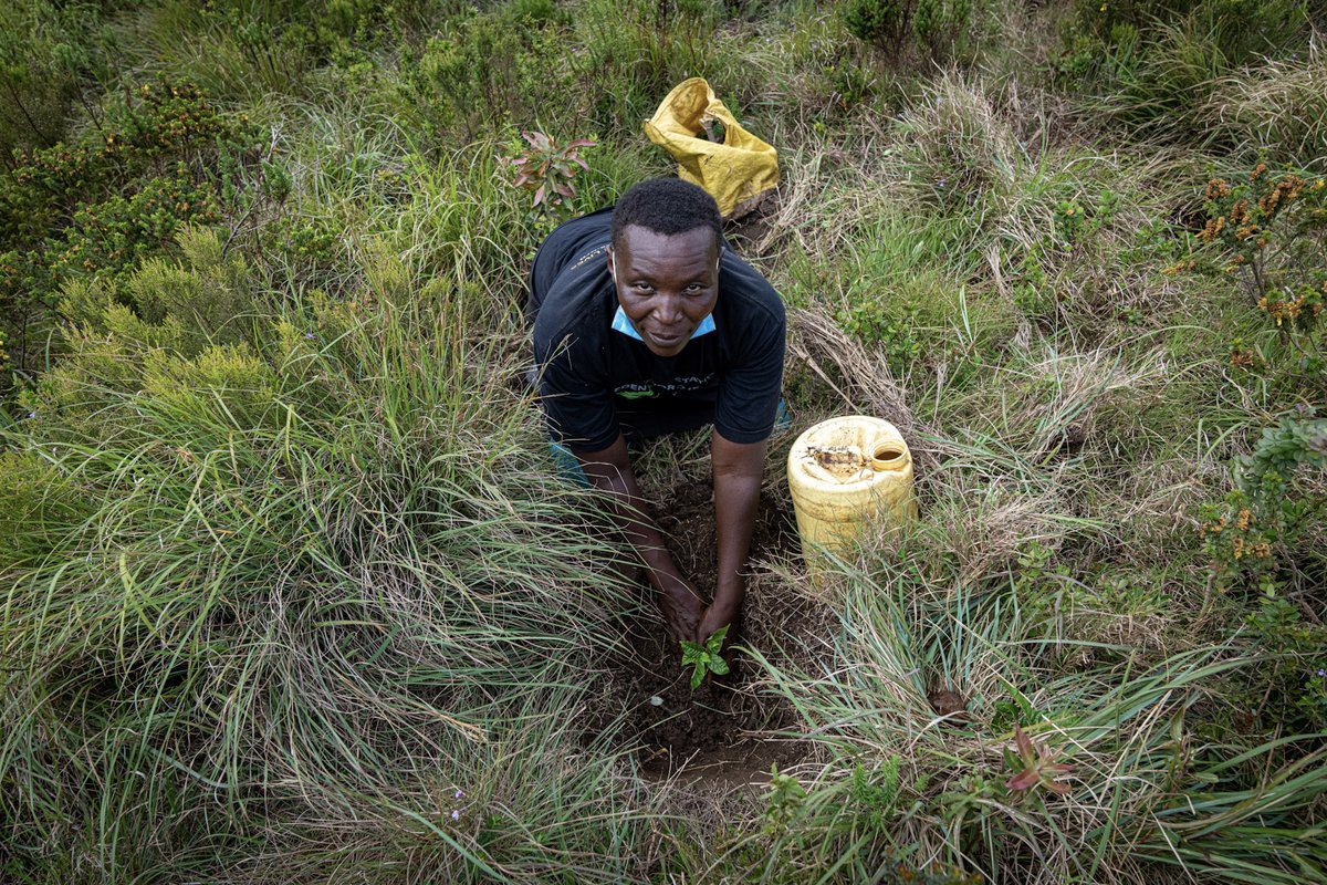 Our teams worldwide are taking climate change into their own hands by making a lasting impact in their local communities and forests. How are they doing this? One tree at a time.