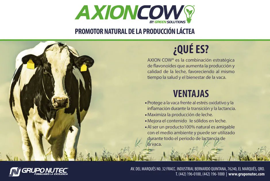 hoardsenespanol's tweet photo. NUTEC - AXIONCOW, BY GREEN SOLUTIONS Reduce el estrés oxidativo y el proceso de inflamación en la ubre de la vaca. Para más información entra a https://t.co/7UdpKzDZqC No olvides mencionar que lo viste en Hoard's Dairyman en español

#nutec #revistalechera #hoardsenespanol https://t.co/3pyRUlZBMk