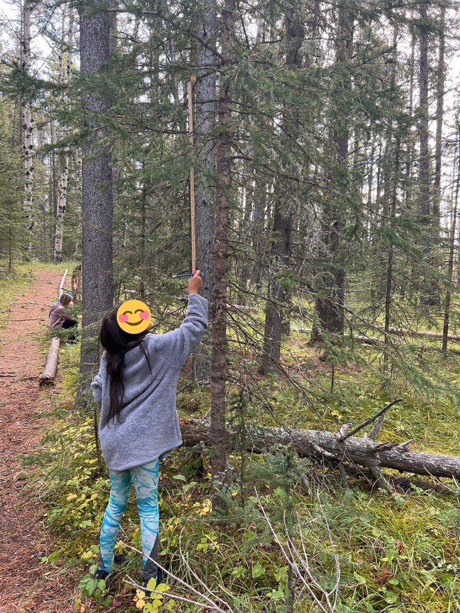 Forest estimation! How tall is that 🌲? How many blades of grass did you cover with your whiteboard? <a href="/bandedpeakrvs/">Banded Peak School</a> #rvsed #rvsnumeracy