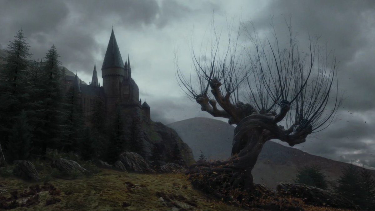 LordVoldemort_S's tweet photo. El otoño ha llegado a Hogwarts. https://t.co/68MFQA4WCA