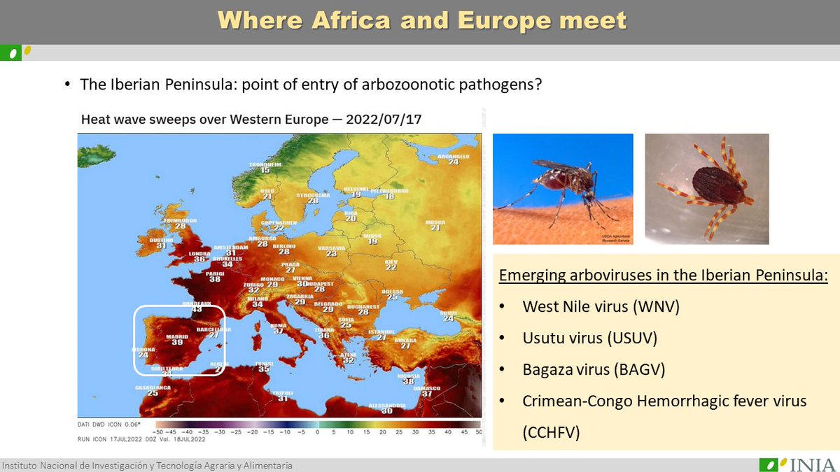 Virusemergentes's tweet photo. A preview of tomorrow's talk #ESVV2022 https://t.co/7lHDk0F50s