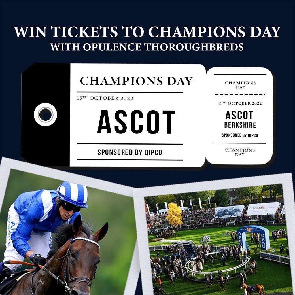 OpThoroughbreds's tweet photo. WIN TWO TICKETS TO CHAMPIONS DAY 🎩 

To be in for the chance of watching BAAEED’s final race:

• Follow us 
• Retweet this
• Tag two friends (must also follow us)

We’ll pick the winner on the 1st of October. 

Good luck everyone🤞🏼

#OpulenceThoroughbreds

#giveaway #baaeed https://t.co/soYVTQ3IW3