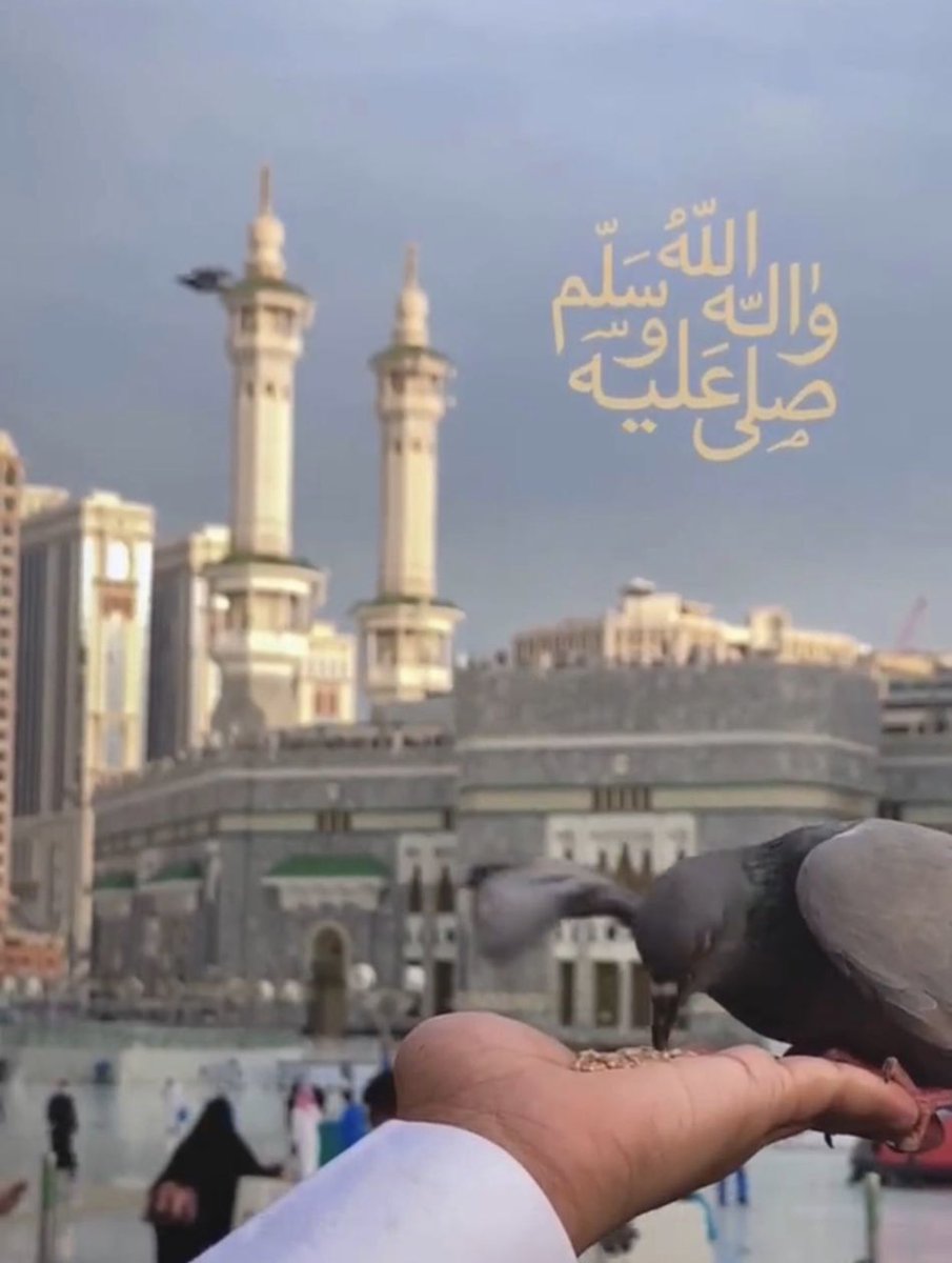 :
قال النبي ﷺ

أكثروا من الصلاة عليّ ليلة الجمعه ,,

ويوم الجمعه ,, فإن صلاتكم معروضة عليّ

فهي دليل الإيمان وبُرهان اليقين
و
سبب الفوز بشفاعته
و
الشُرب من حوضه
و
مجاورته في الفردوس الأعلى ﷺ 
و
بها تُفتح الأقفال ويُصلح الحال ويُشرح البال 

فصلُّوا عليه وسلِّمُوا تَسْليمًا*