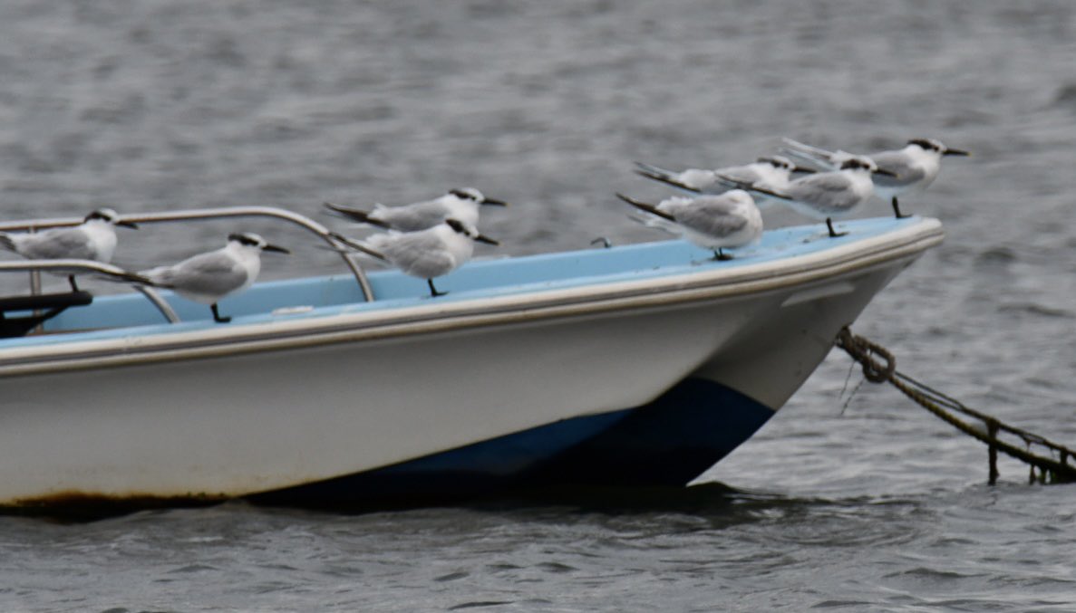 Tim Ridgeway tweet media