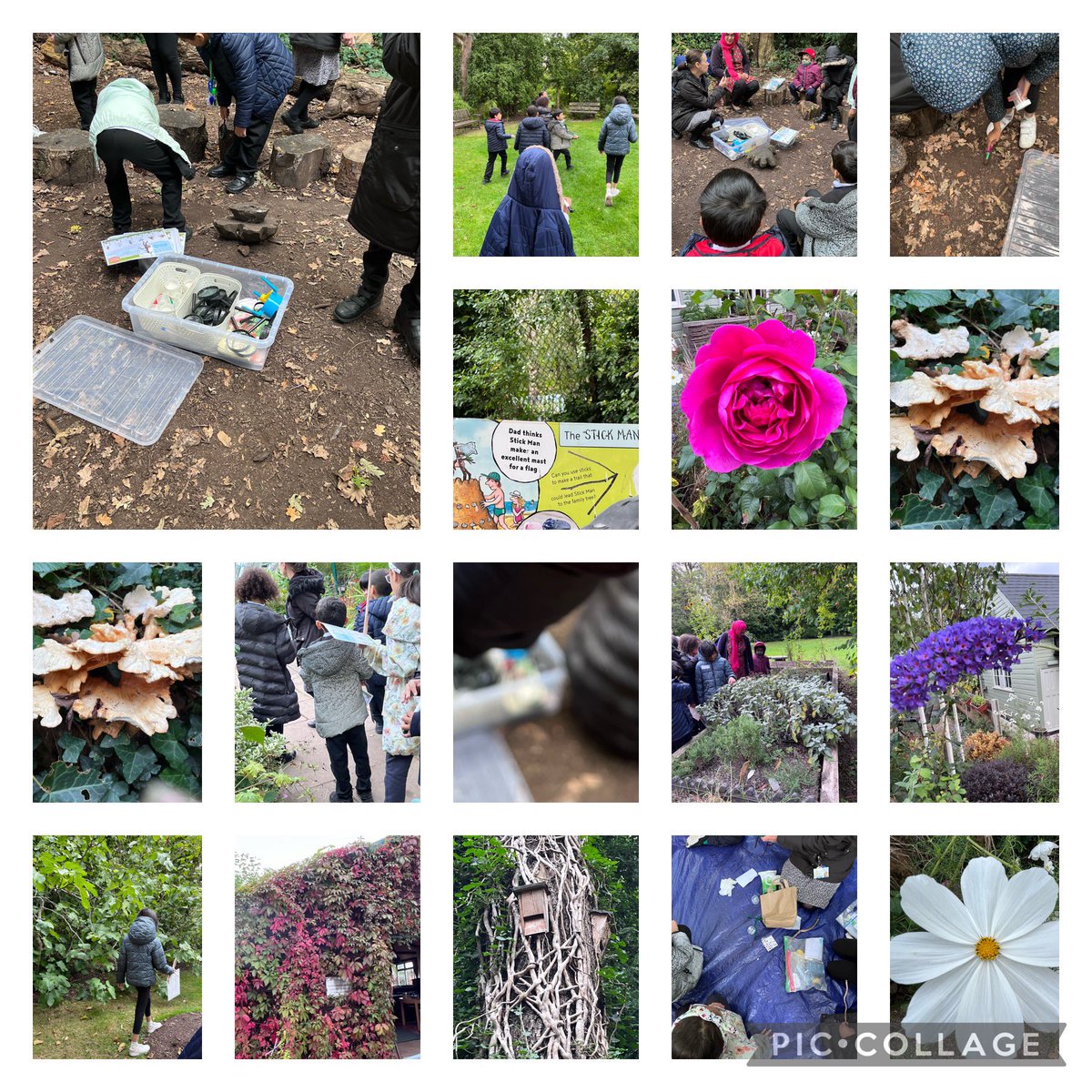 cjudge16's tweet photo. Great morning at Martineau Gardens with @LozellsPrimary Big Core children they had a great time bug hunting,listening to the story about the Stick Man then making their own.Exploring the woods and seeing the changes from Summer to Autumn 🍂 https://t.co/4eXFZasCar