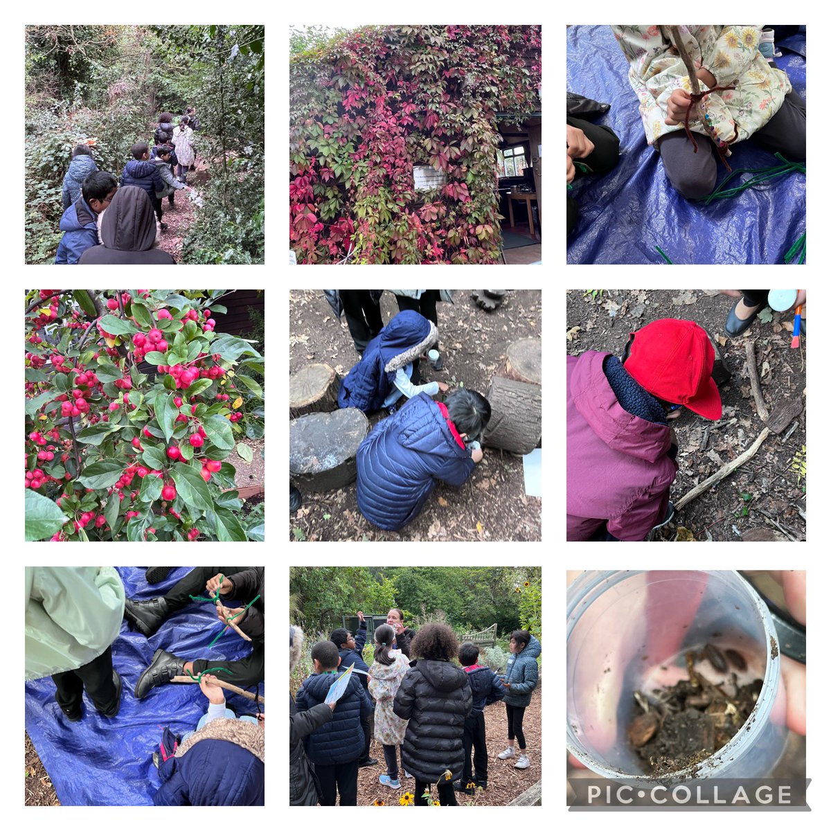 cjudge16's tweet photo. Great morning at Martineau Gardens with @LozellsPrimary Big Core children they had a great time bug hunting,listening to the story about the Stick Man then making their own.Exploring the woods and seeing the changes from Summer to Autumn 🍂 https://t.co/4eXFZasCar