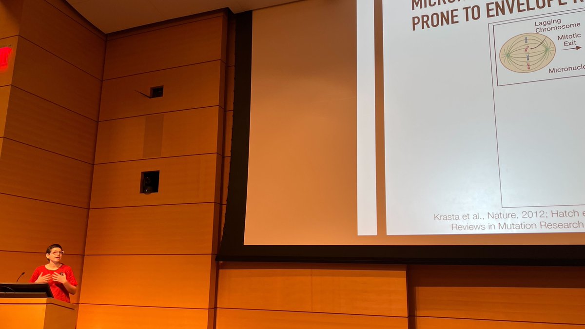 MSKPDA (@mskpda) on Twitter photo <a href="/Ele_Toufektchan/">Eleonore Toufektchan</a> works on elucidating how TREX1 activity facilitates chromosomally unstable cancer cells to escape from anti-tumor immunity and immune checkpoint blockade therapies. @Maciejowskilab <a href="/Ele_Toufektchan/">Eleonore Toufektchan</a> works on elucidating how TREX1 activity facilitates chromosomally unstable cancer cells to escape from anti-tumor immunity and immune checkpoint blockade therapies. @Maciejowskilab