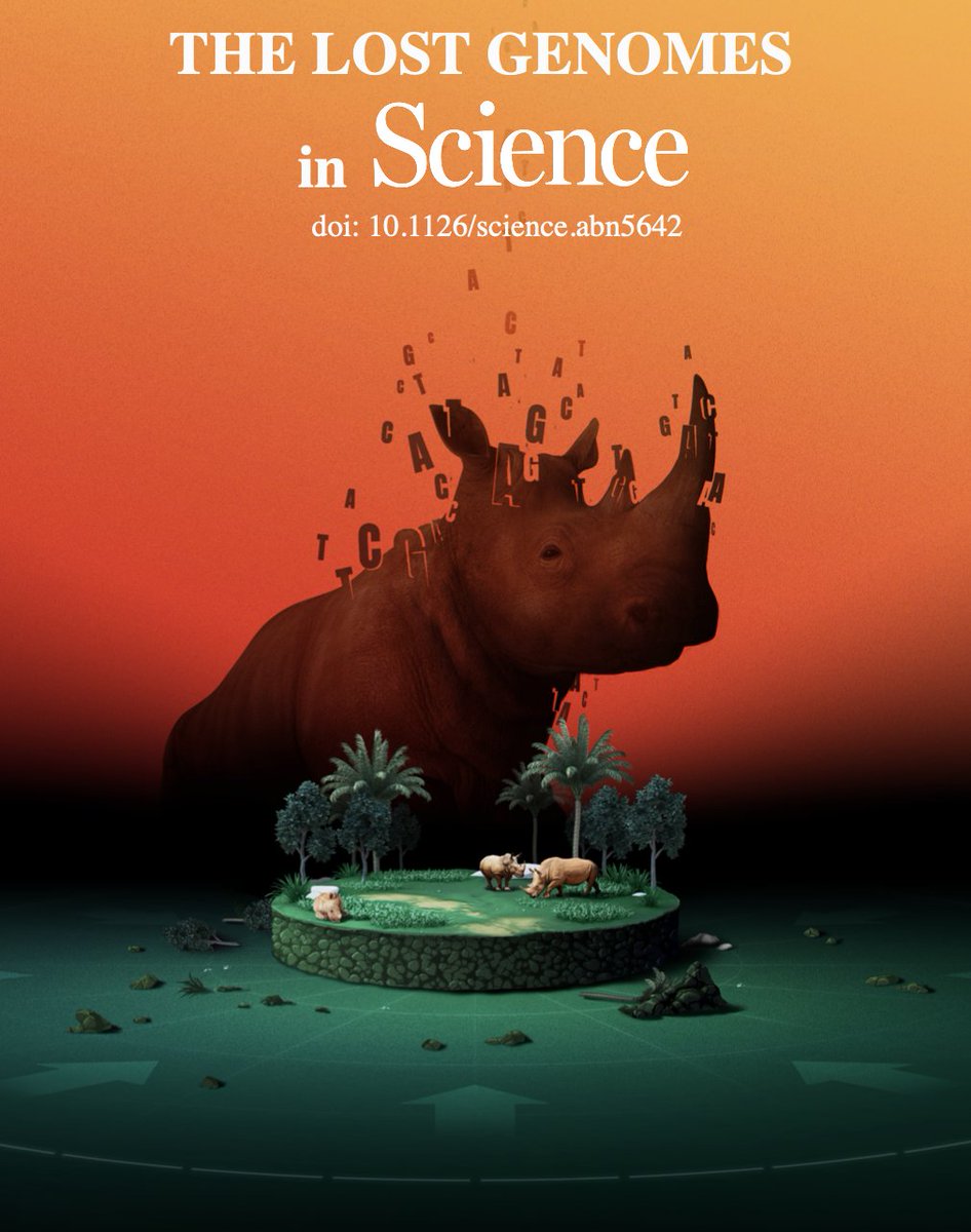 Our paper 'Genetic diversity loss in the Anthropocene' is out in @ScienceMagazine! We study how genetic diversity is lost by habitat loss to help define @UNBiodiversity #Sustainable targets science.org/doi/10.1126/sc… @CarnegieScience @CarnegiePlants @CarnegieEcology @Stanford