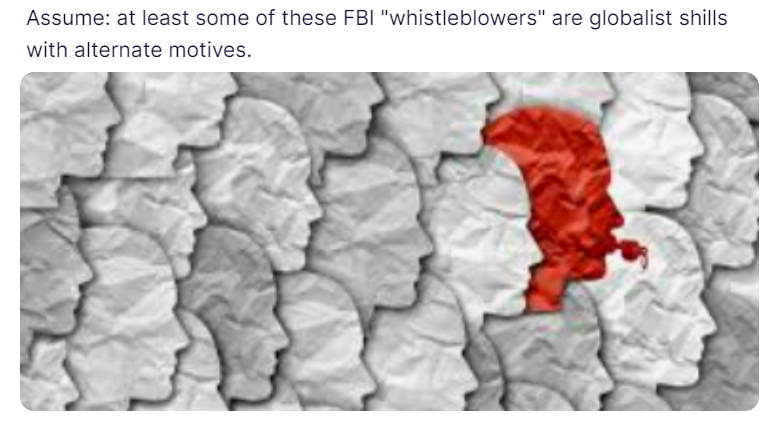 EmergentPress's tweet photo. Before anyone gets too excited about FBI whistleblowers, remember when it comes to #AmericaFirst, the FBI has never failed to disappoint.
Where were these whistleblowers on #BidenLaptop, #RayEpps, #ClintonPayToPlay, or #Danchenko?
Globalist often misrepresent themselves (Wray). https://t.co/AN0sW7nuRN