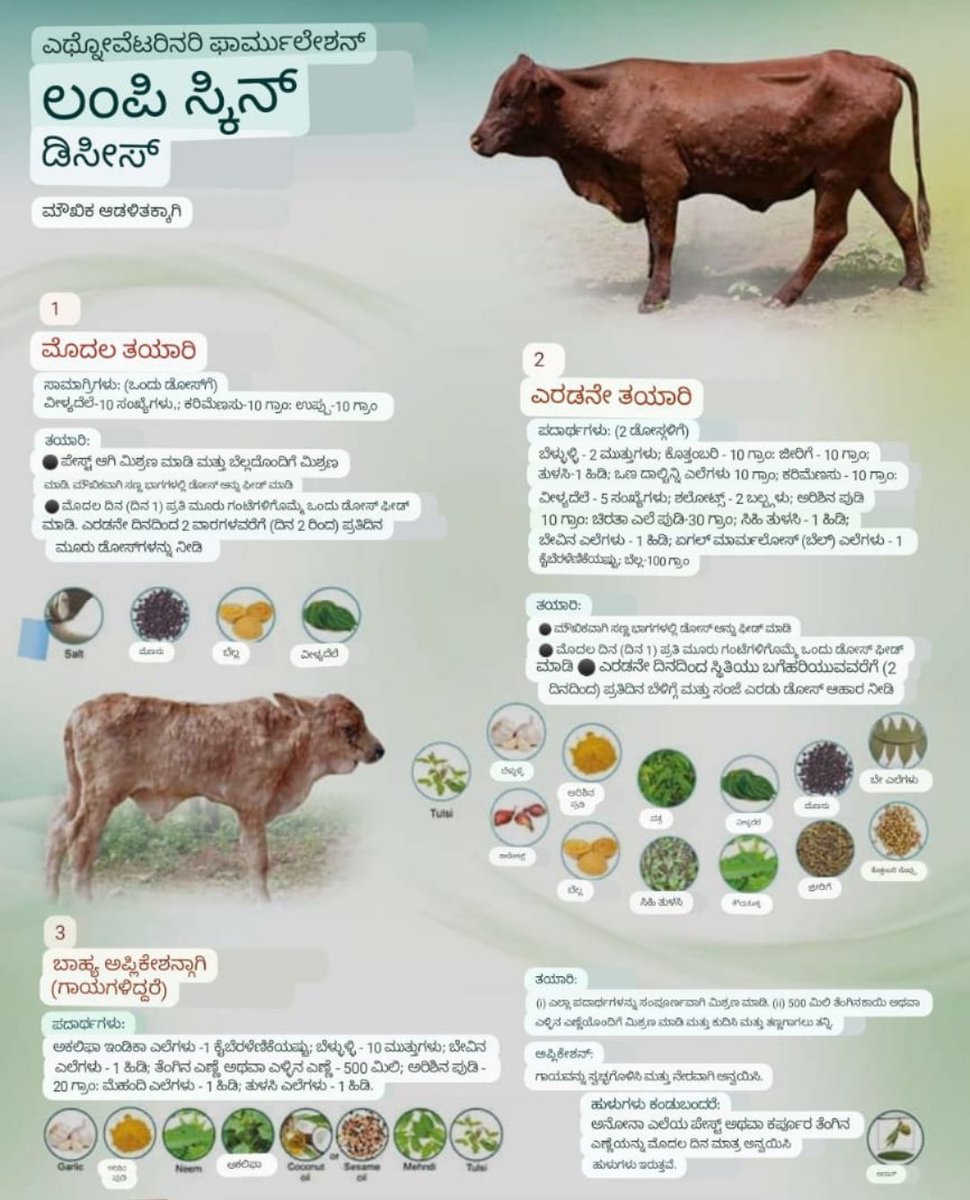 Shobha_Music's tweet photo. #Save_Cows🙏🏼🙏🏼
#ಗೋಮಾತೆಯನ್ನು_ರಕ್ಷಿಸಿ🙏🏼🙏🏼 https://t.co/xo7jeOe9yO