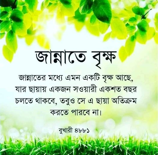 Maria Jahan (@maryazahan) on Twitter photo 